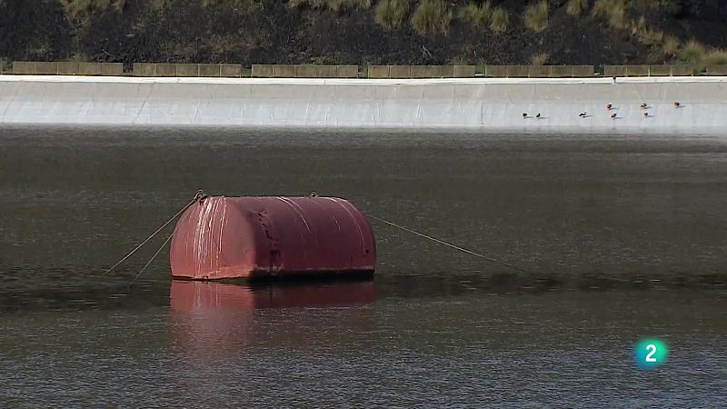Telecanarias Tarde - 18/12/2025 | Ver