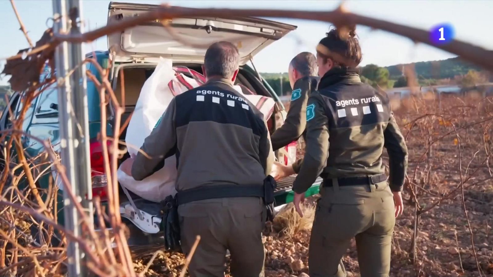 UE i Ministeri no veuen indicis que l'origen de la PPA sigui l'IRTA-CRESA