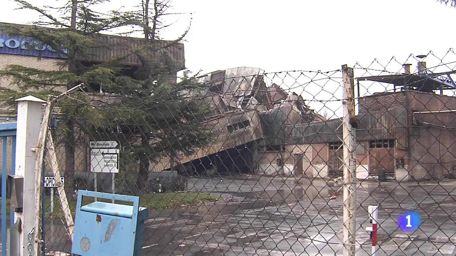 Telenorte 2  País Vasco 19/12/2025 | Ver