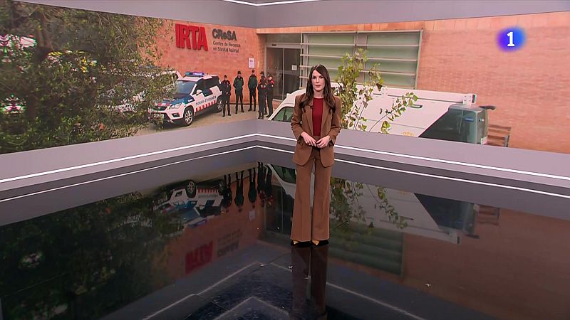 L'Informatiu 2 - 19/12/2025 - L'Informatiu | Veure