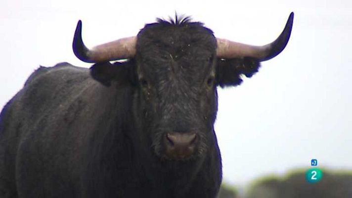Tendido cero - Tendido Cero - 09/02/13