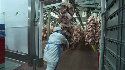 Agrosfera - 20/12/25