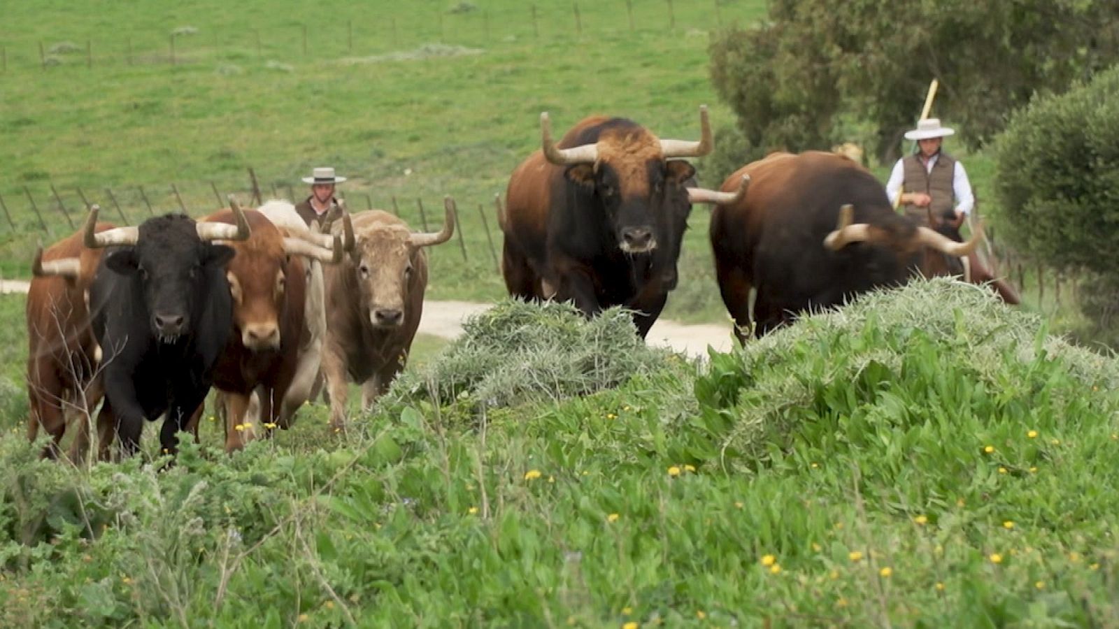 Tendido Cero - 20/12/25 - Tendido cero | Ver