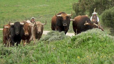 Tendido Cero - 20/12/25