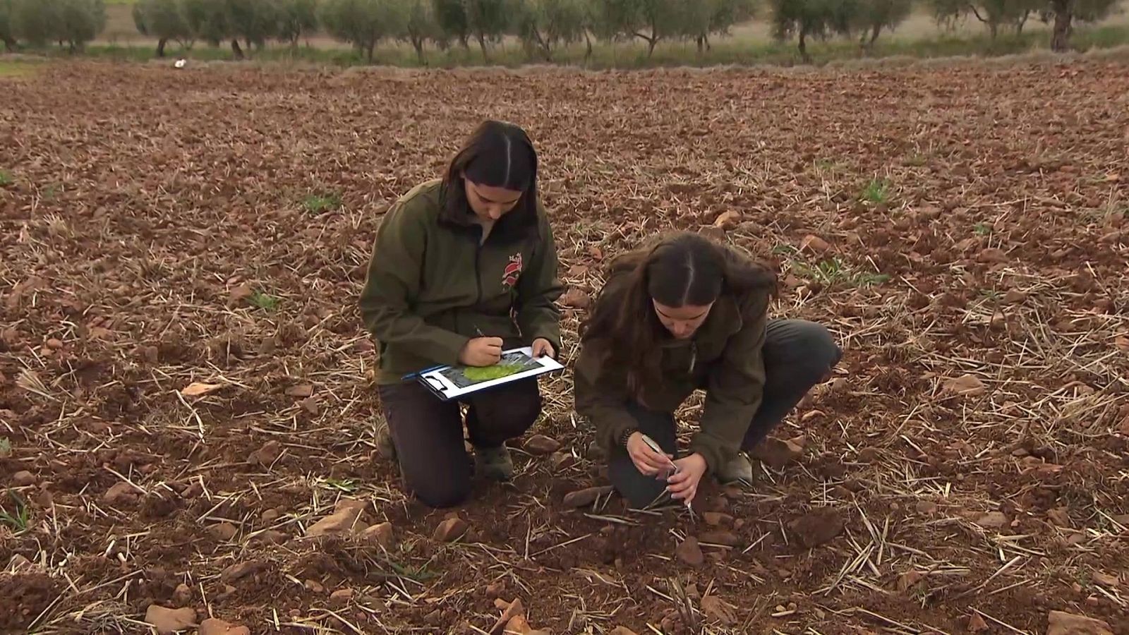 Jara y sedal - Agricultura y medioambiente - Jara y sedal | Ver