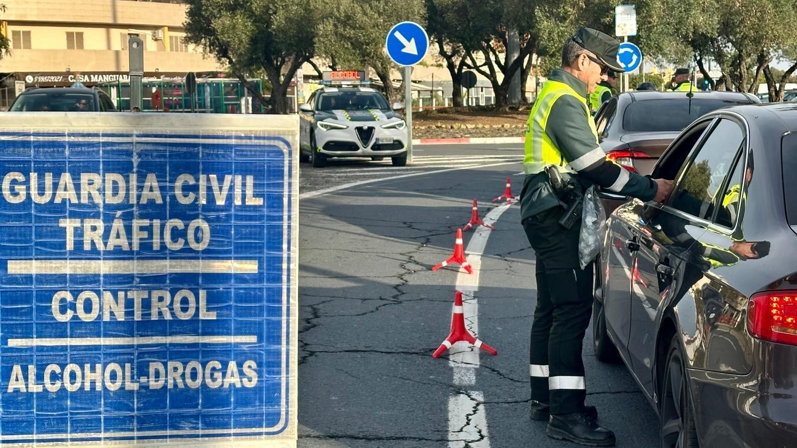 Navidad: controles de la DGT por alcohol y drogas | Ver