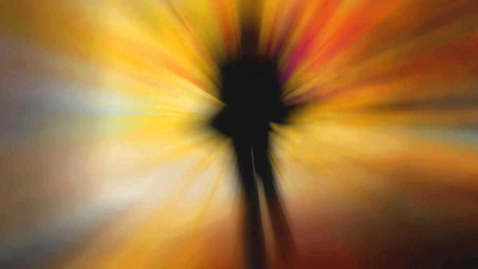 La noche temática - Viaje al LSD - Ver ahora