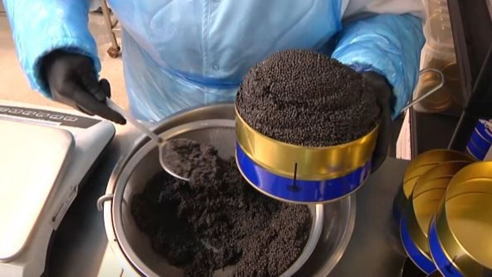 Sarrión se convierte en el epicentro del caviar en Europa - Directo al grano | Ver