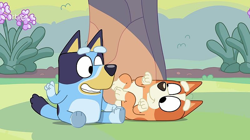 Copycat - Bluey en inglés | Watch