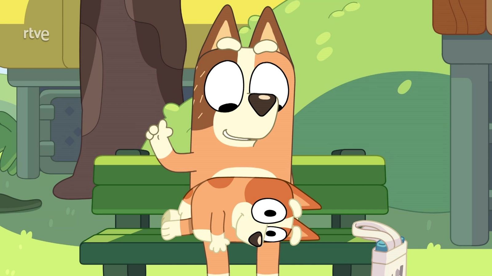Bluey: Animales | Episodio completo en Clan RTVE - Bluey | Ver