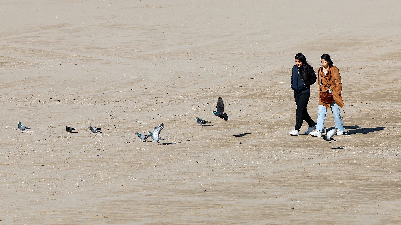 L'Informatiu Comunitat Valenciana 2 - 22/12/25 | Ver