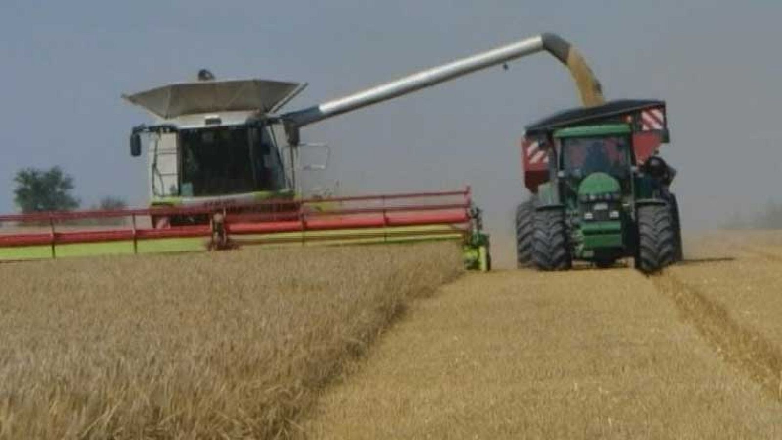 El sector agrario denuncia los recortes que sufre la agricultura en España