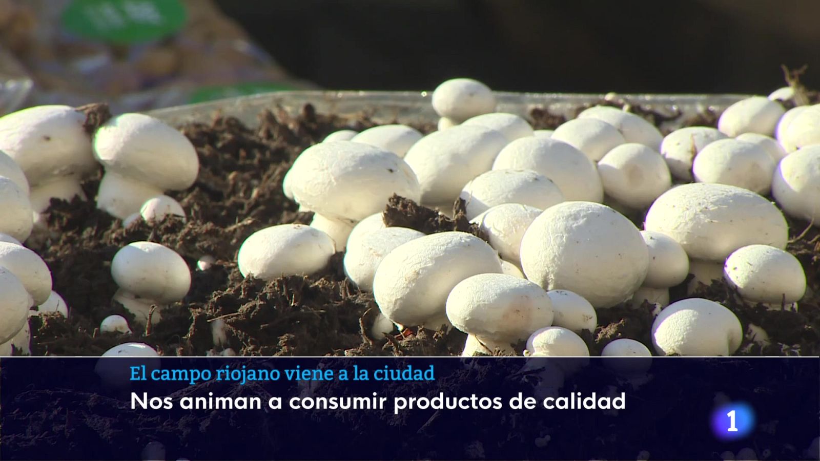 Informativo Telerioja 23-12-2025 | Ver