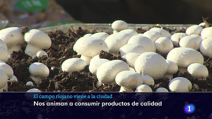 Informativo Telerioja - Telerioja en 2 - 23-12-2025