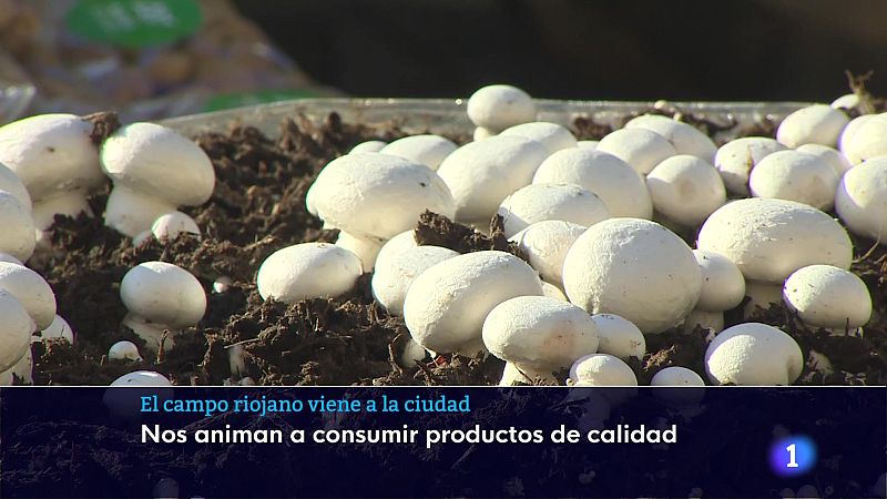 Telerioja en 2 - 23-12-2025 | Ver