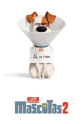 Mascotas 2