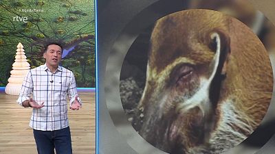 Aquí la Tierra - 23/12/25