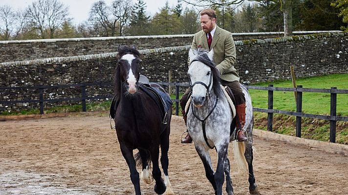Todas las criaturas grandes y pequeñas - Sobreviviendo a Siegfried