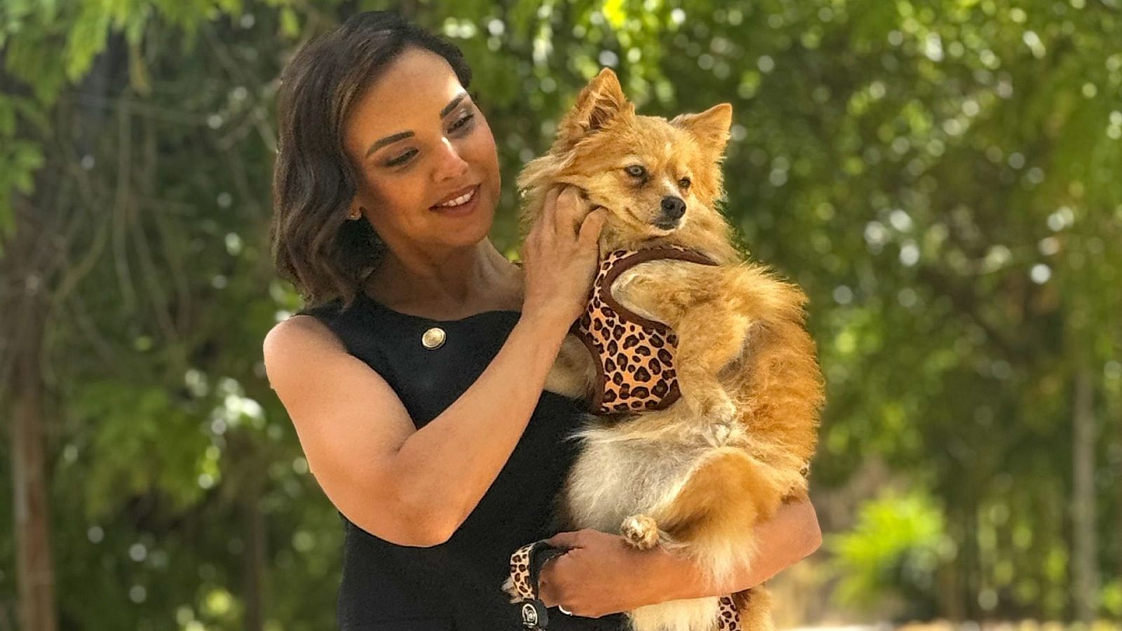 Dog House - Especial Mejores Momentos - Dog House | Ver