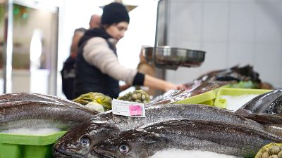 Seprona realiza inspecciones en los mercados para evitar fraudes - Telediario 1 | Ver