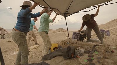 Secretos de los dinosaurios jur�sicos - Episodio 2 - Secretos de los dinosaurios jur�sicos | Ver