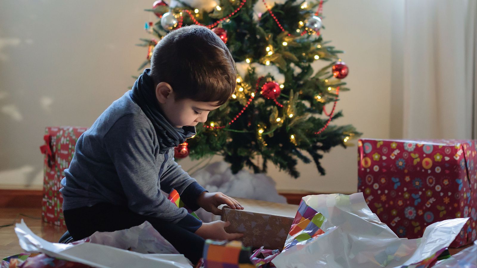 La magia de la Navidad deslumbra a los pequeños de la casa - Diario 24 | Ver