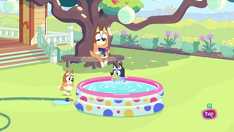 Whirlpool - Bluey en inglés | Ver