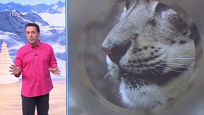 Aquí la Tierra - 26/12/25