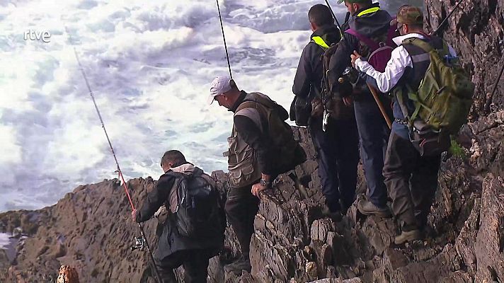 Jara y sedal - Una vida en la rompiente