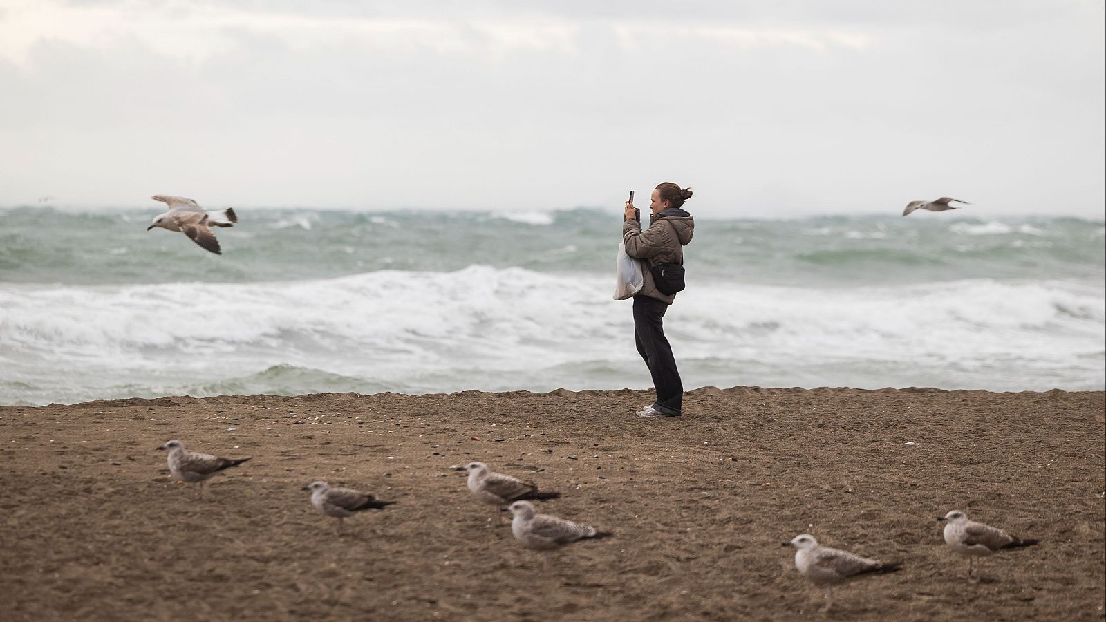 El temporal azota Málaga y deja daños y crecidas en los ríos de Cataluña - Telediario Fin de Semana | Ver