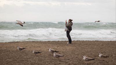 El temporal azota M�laga y deja da�os y crecidas en los r�os de Catalu�a - Telediario Fin de Semana | Ver
