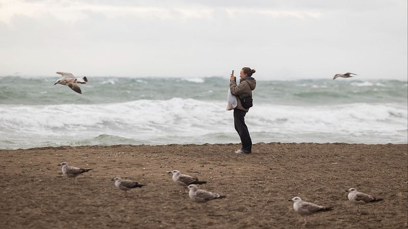 El temporal azota Málaga y deja daños y crecidas en los ríos de Cataluña - Telediario Fin de Semana | Ver