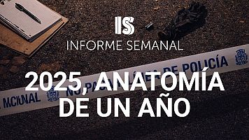 2025, anatom�a de un a�o