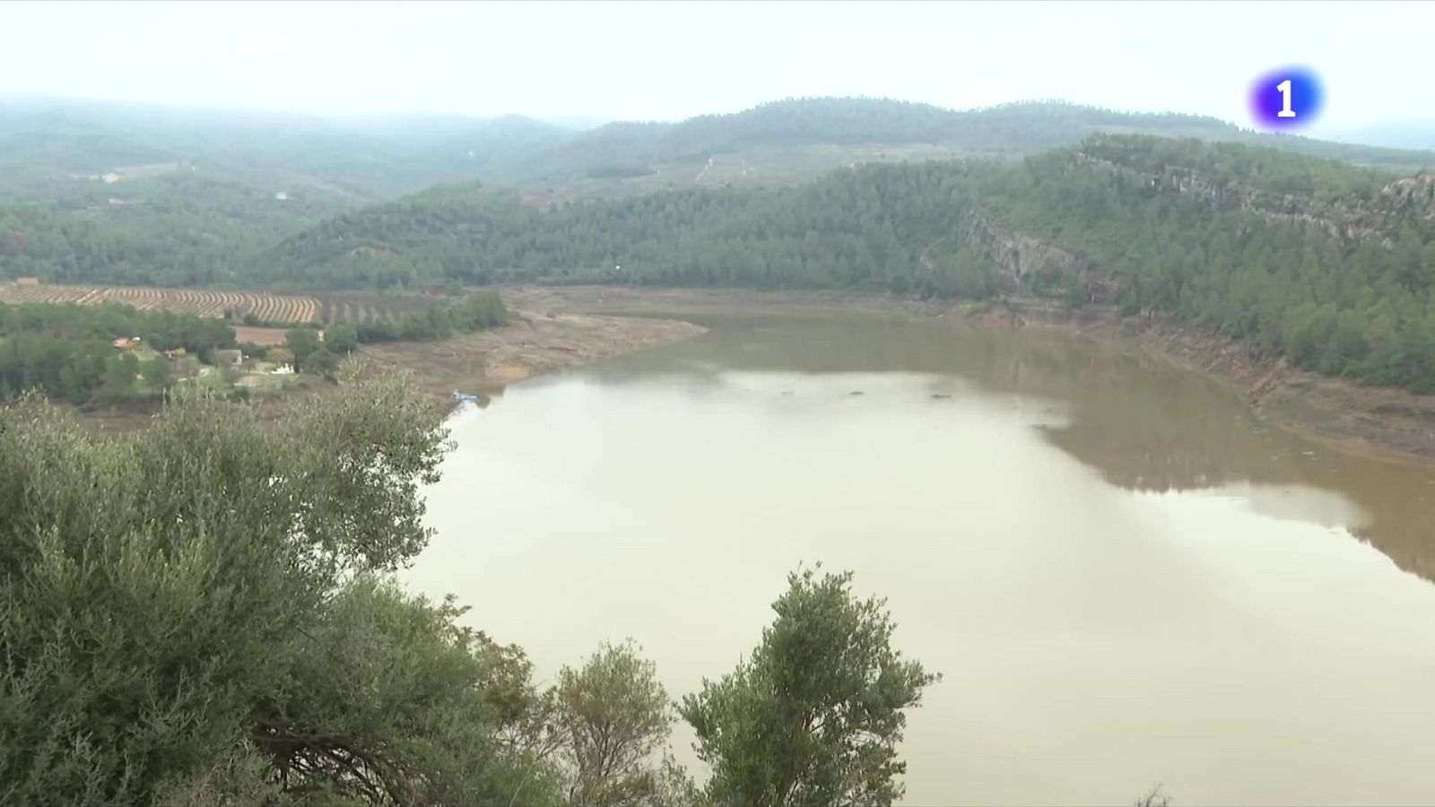 L'Informatiu 2 - 29/12/2025