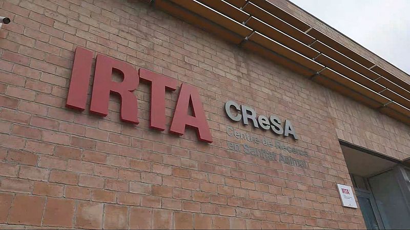 L'Informatiu 2 - 30/12/2025