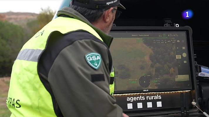 L'Informatiu - Cau la hipòtesi que el brot de PPA provingui de l'IRTA-CReSA