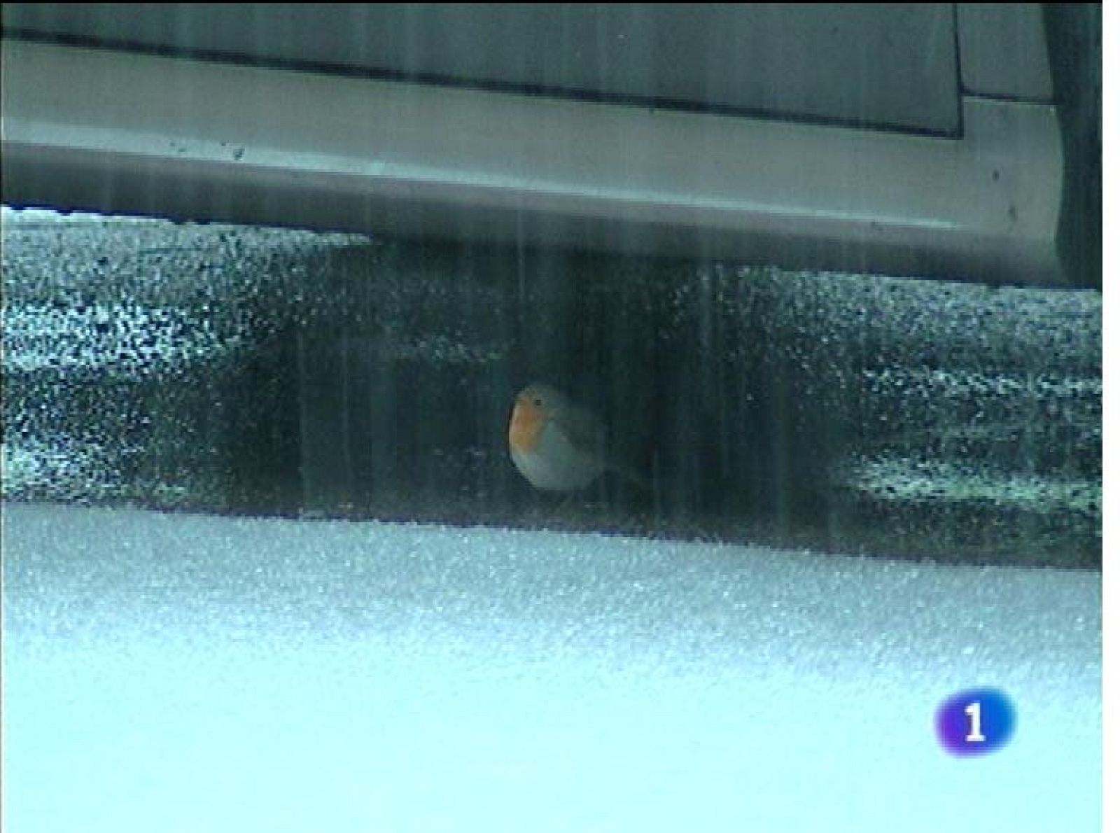 El tiempo en Asturias - 11/02/13 | Ver