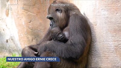 Aquí la Tierra - 30/12/25