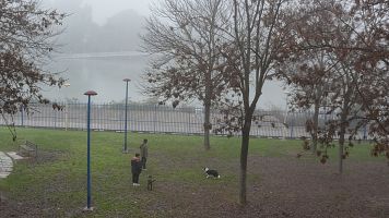 El tiempo de este jueves 1 de enero: A�o Nuevo con lluvia fuerte en Canarias y niebla persistente en la Pen�nsula