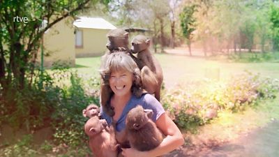 Rescate de animales beb� - Episodio 1 - Rescate de animales beb� | Ver