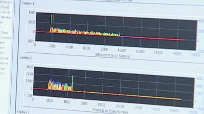 Telediario 1 - ¿Quién es quién?