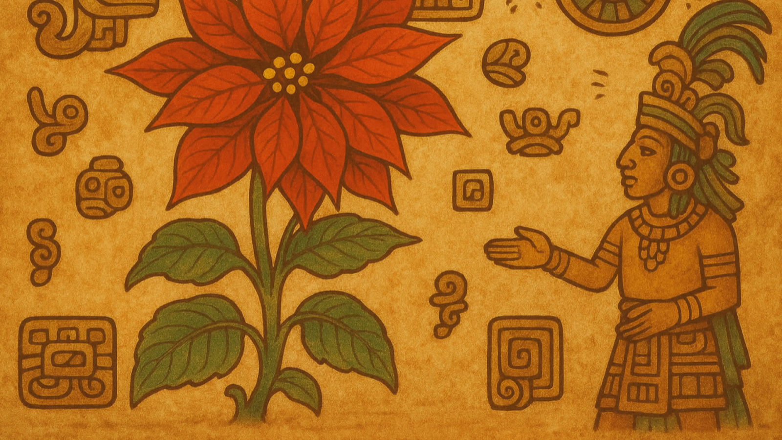 Flor de Pascua - Noticias Andalucía | Ver