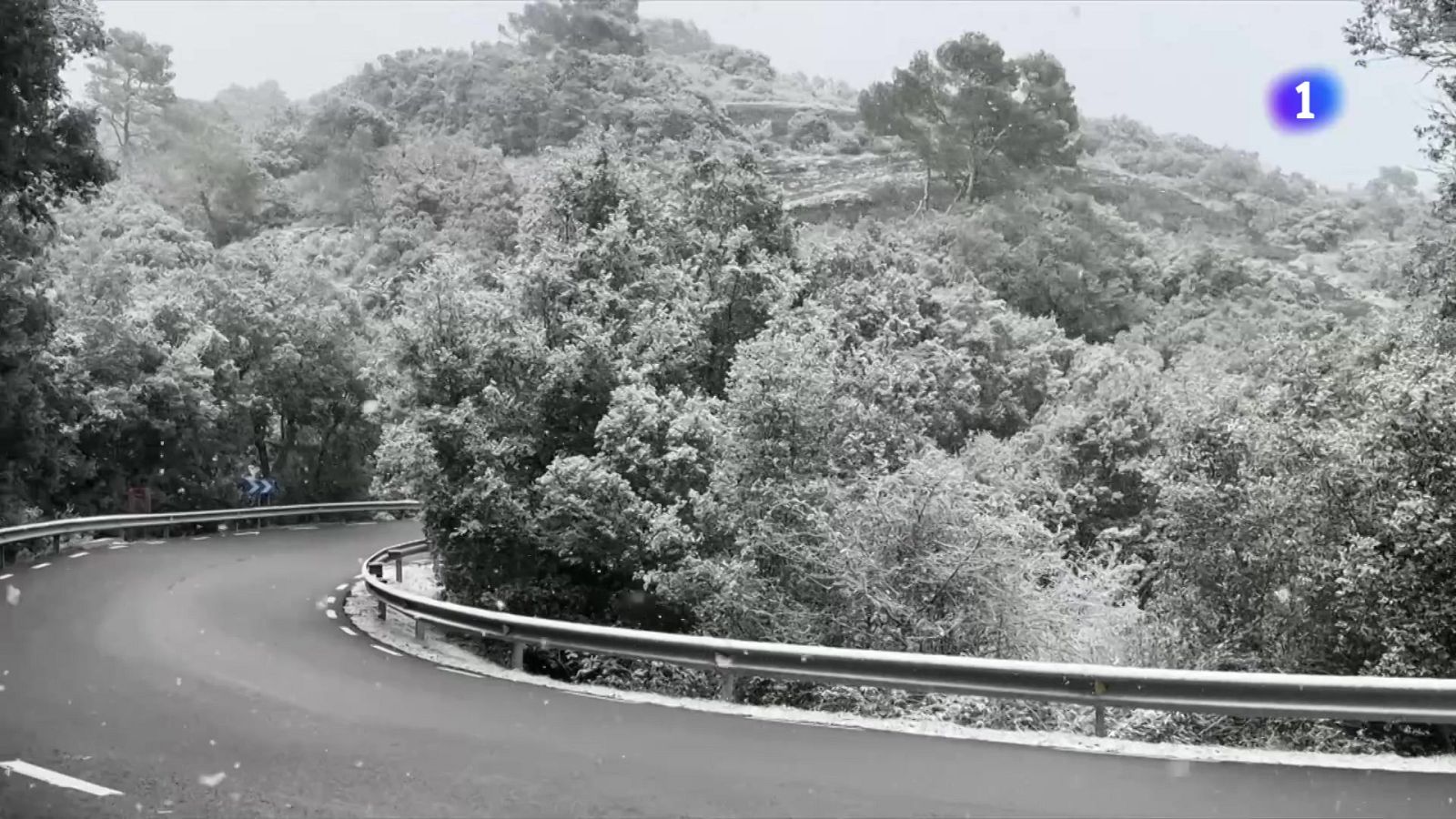 La neu arriba a cotes baixes i complica la mobilitat a l’interior