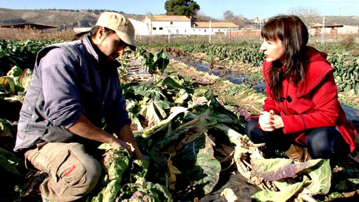 Comando Actualidad - Comando Actualidad - Avance