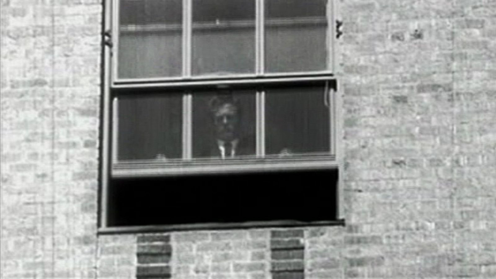 Documentos TV - La muerte silenciada - Avance - Documentos TV | Ver