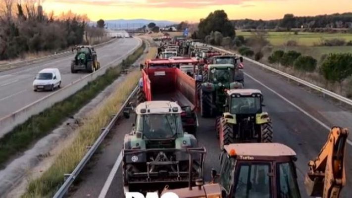 Directo al grano - Agricultores en pie de guerra contra el acuerdo de Europa con Mercosur