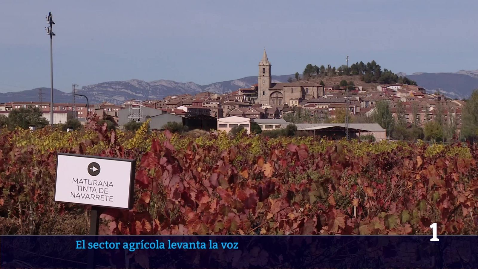 Informativo telerioja - 09-01-2026 | Ver