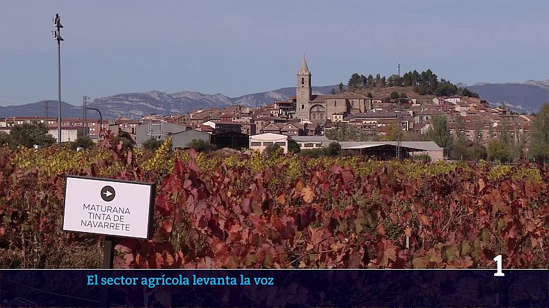 Informativo telerioja - 09-01-2026 | Ver