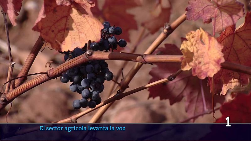 Informativo telerioja 2 - 09-01-2026 | Ver