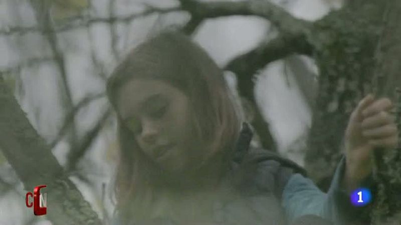 El secreto de Pablo Alborán - D Corazón | Ver